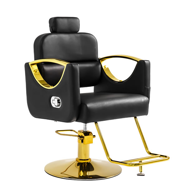 Barber Chair C406-2